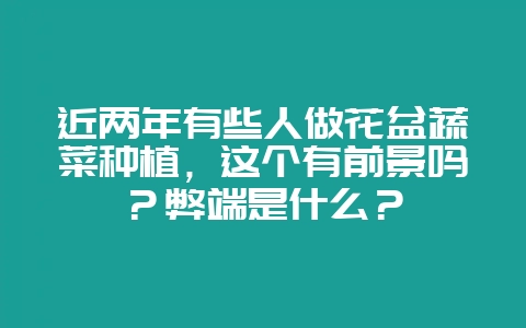近两年有些人做花盆蔬菜种植，这个有前景吗？弊端是什么？-会东网