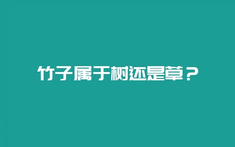 竹子属于树还是草？-会东网