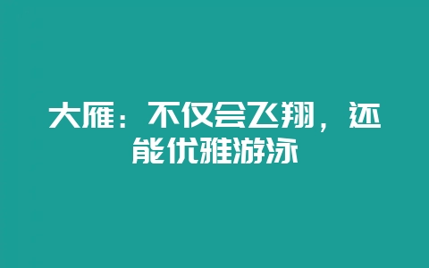 大雁：不仅会飞翔，还能优雅游泳-会东网