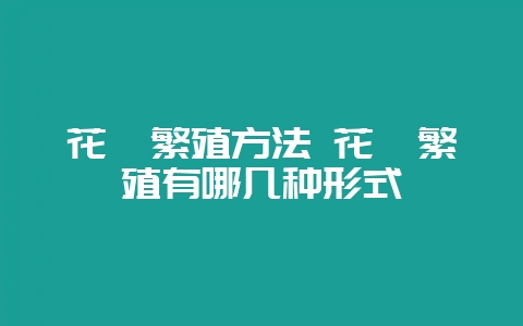 花卉繁殖方法 花卉繁殖有哪几种形式-会东网