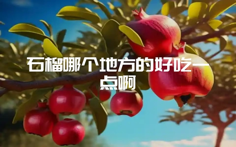石榴哪个地方的好吃一点啊插图 石榴哪个地方的好吃一点啊插图