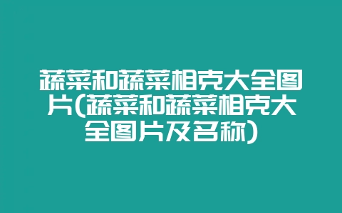 蔬菜和蔬菜相克大全图片(蔬菜和蔬菜相克大全图片及名称)-会东网