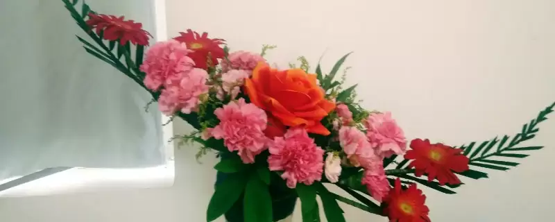 西方插花的基本造型包括-会东网