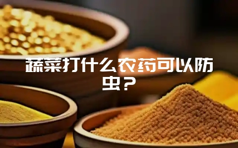 蔬菜打什么农药可以防虫？-会东网