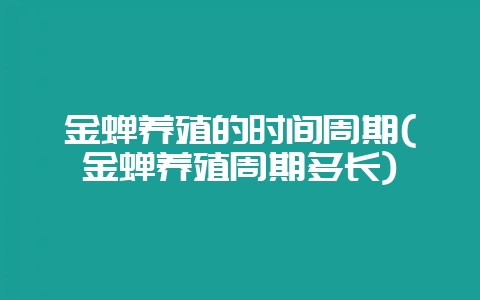 金蝉养殖的时间周期(金蝉养殖周期多长)-会东网