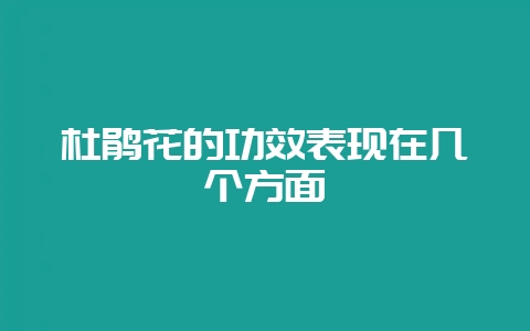 杜鹃花的功效表现在几个方面-会东网