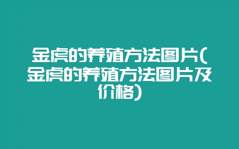 金虎的养殖方法图片(金虎的养殖方法图片及价格)-会东网