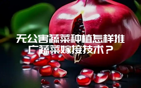 无公害蔬菜种植怎样推广蔬菜嫁接技术？-会东网