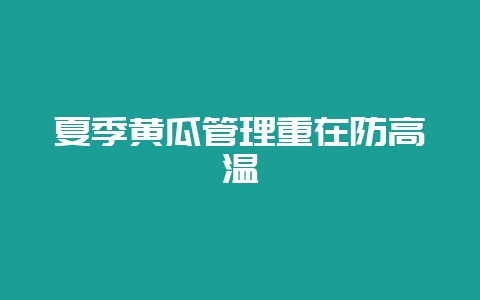 夏季黄瓜管理重在防高温-会东网