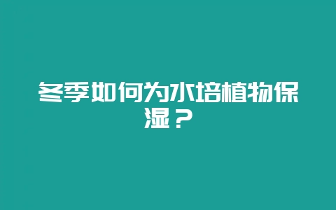 冬季如何为水培植物保湿？-会东网