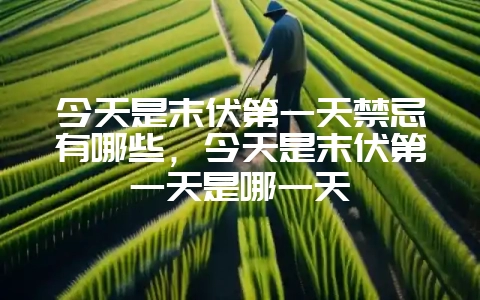 今天是末伏第一天禁忌有哪些,今天是末伏第一天是哪一天-会东网