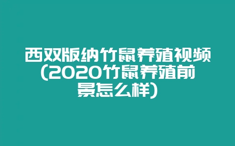 西双版纳竹鼠养殖视频(2020竹鼠养殖前景怎么样)-会东网