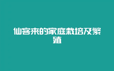 仙客来的家庭栽培及繁殖-会东网