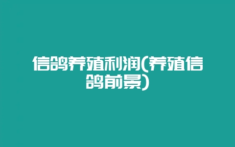 信鸽养殖利润(养殖信鸽前景)-会东网