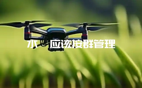 水貂应该按群管理-会东网