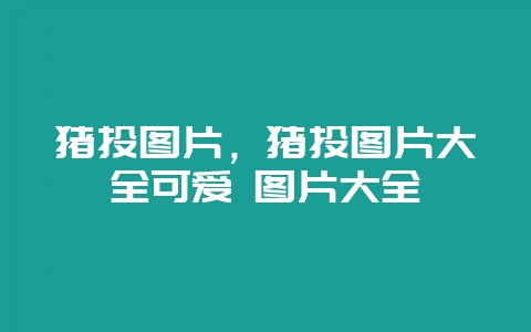 猪头图片，猪头图片大全可爱 图片大全-会东网