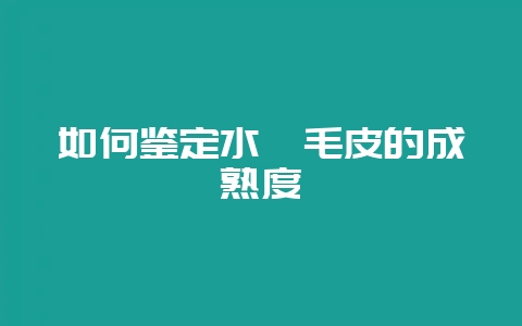 如何鉴定水貂毛皮的成熟度-会东网