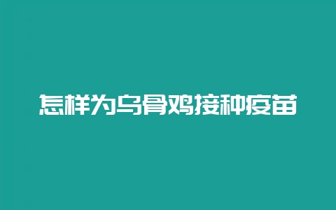 怎样为乌骨鸡接种疫苗-会东网