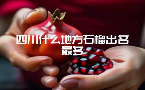 四川什么地方石榴出名最多-会东网