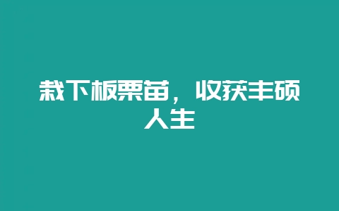 栽下板栗苗，收获丰硕人生-会东网