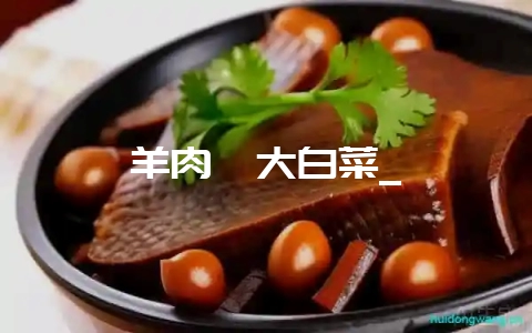 羊肉炖大白菜_-会东网