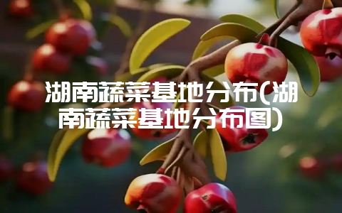 湖南蔬菜基地分布(湖南蔬菜基地分布图)-会东网