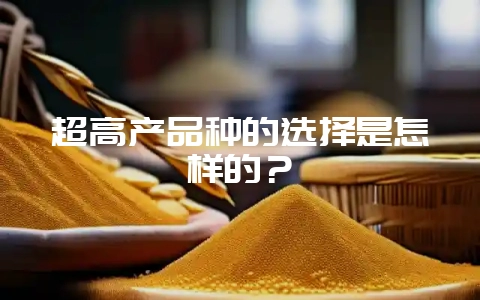 超高产品种的选择是怎样的?-会东网