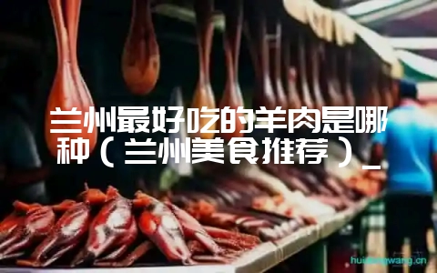 兰州最好吃的羊肉是哪种(兰州美食推荐)_插图 兰州最好吃的羊肉是哪种(兰州美食推荐)_插图