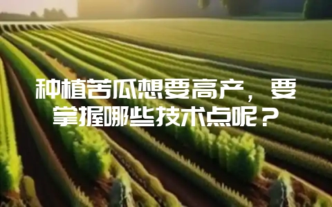 种植苦瓜想要高产，要掌握哪些技术点呢？-会东网