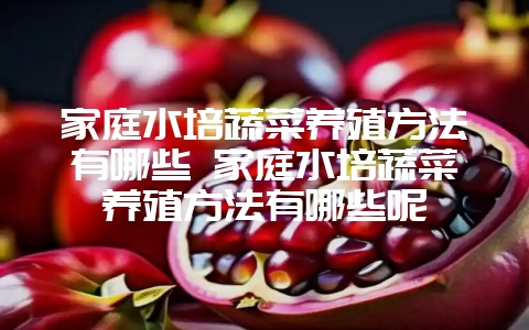 家庭水培蔬菜养殖方法有哪些 家庭水培蔬菜养殖方法有哪些呢-会东网
