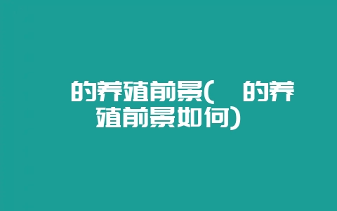 貂的养殖前景(貂的养殖前景如何)-会东网