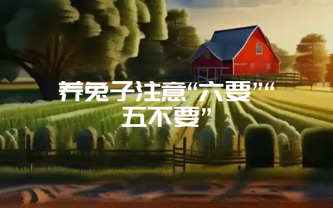 养兔子注意“六要”“五不要”-会东网