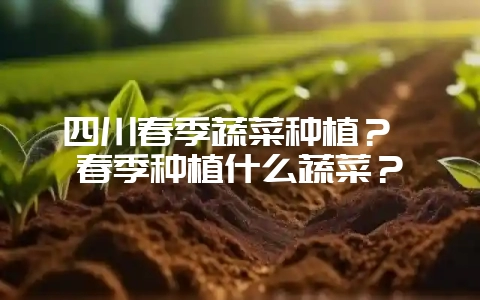 四川春季蔬菜种植? 春季种植什么蔬菜?插图 四川春季蔬菜种植? 春季种植什么蔬菜?插图