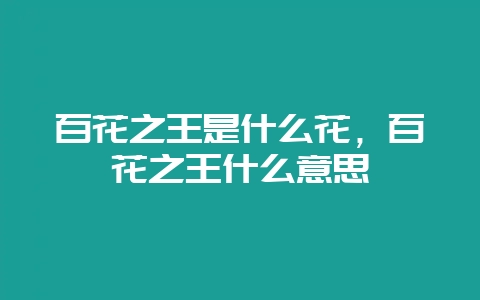 百花之王是什么花，百花之王什么意思-会东网