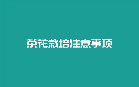 茶花栽培注意事项-会东网