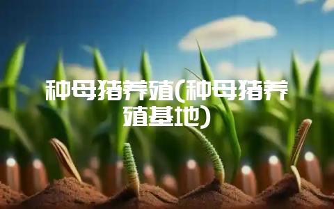 种母猪养殖(种母猪养殖基地)-会东网