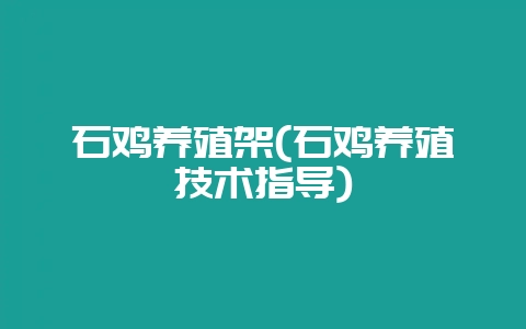 石鸡养殖架(石鸡养殖技术指导)-会东网