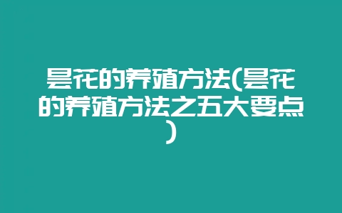 昙花的养殖方法(昙花的养殖方法之五大要点)-会东网