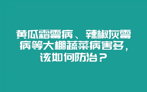 黄瓜霜霉病、辣椒灰霉病等大棚蔬菜病害多，该如何防治？-会东网