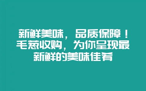 新鲜美味，品质保障！毛葱收购，为你呈现最新鲜的美味佳肴-会东网