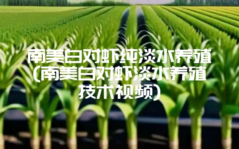 南美白对虾纯淡水养殖(南美白对虾淡水养殖技术视频)-会东网