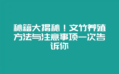 秘籍大揭秘！文竹养殖方法与注意事项一次告诉你-会东网