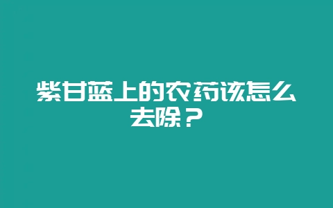 紫甘蓝上的农药该怎么去除？-会东网