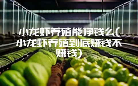 小龙虾养殖能挣钱么(小龙虾养殖到底赚钱不赚钱)-会东网
