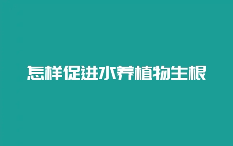 怎样促进水养植物生根-会东网