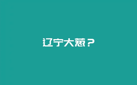辽宁大葱？-会东网