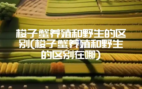 梭子蟹养殖和野生的区别(梭子蟹养殖和野生的区别在哪)-会东网