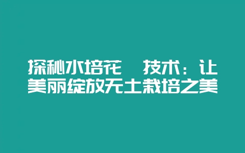 探秘水培花卉技术：让美丽绽放无土栽培之美-会东网