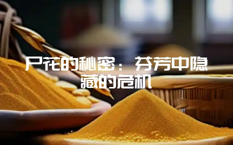 尸花的秘密：芬芳中隐藏的危机-会东网