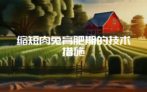缩短肉兔育肥期的技术措施-会东网